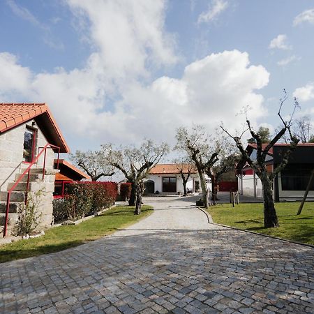 Penedo Village Marco de Canavezes Eksteriør billede