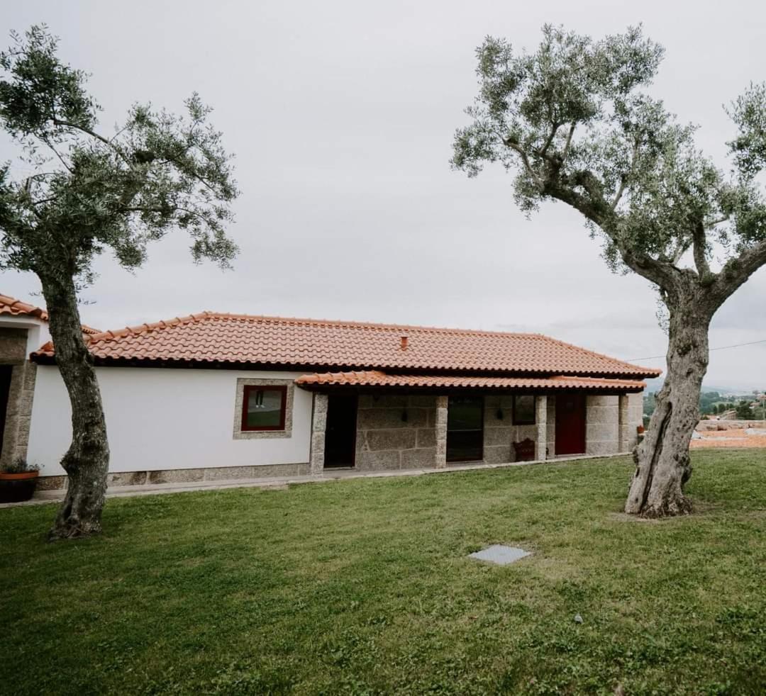 Penedo Village Marco de Canavezes Eksteriør billede