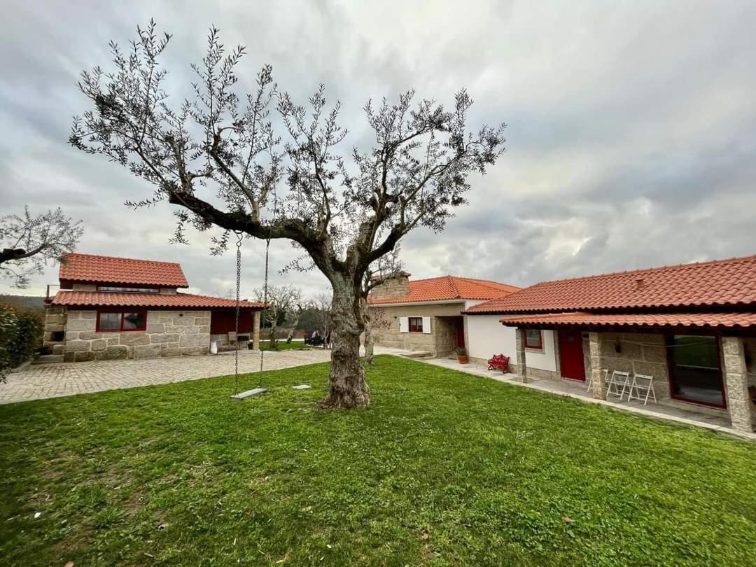 Penedo Village Marco de Canavezes Eksteriør billede
